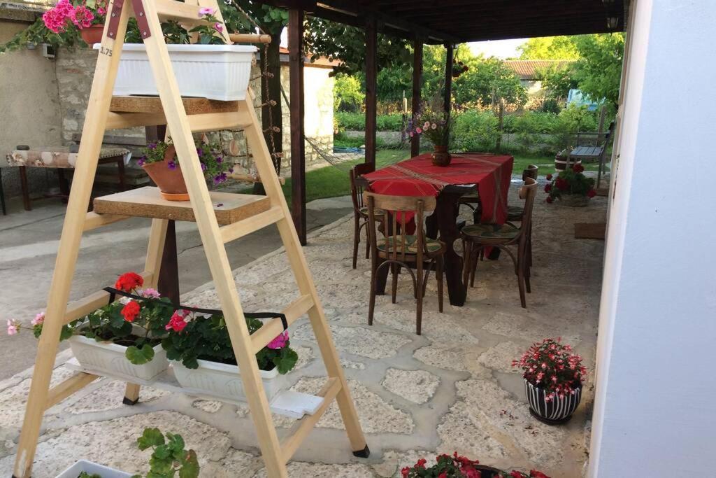 Guest House Kostadinovi Bulgarevo Luaran gambar
