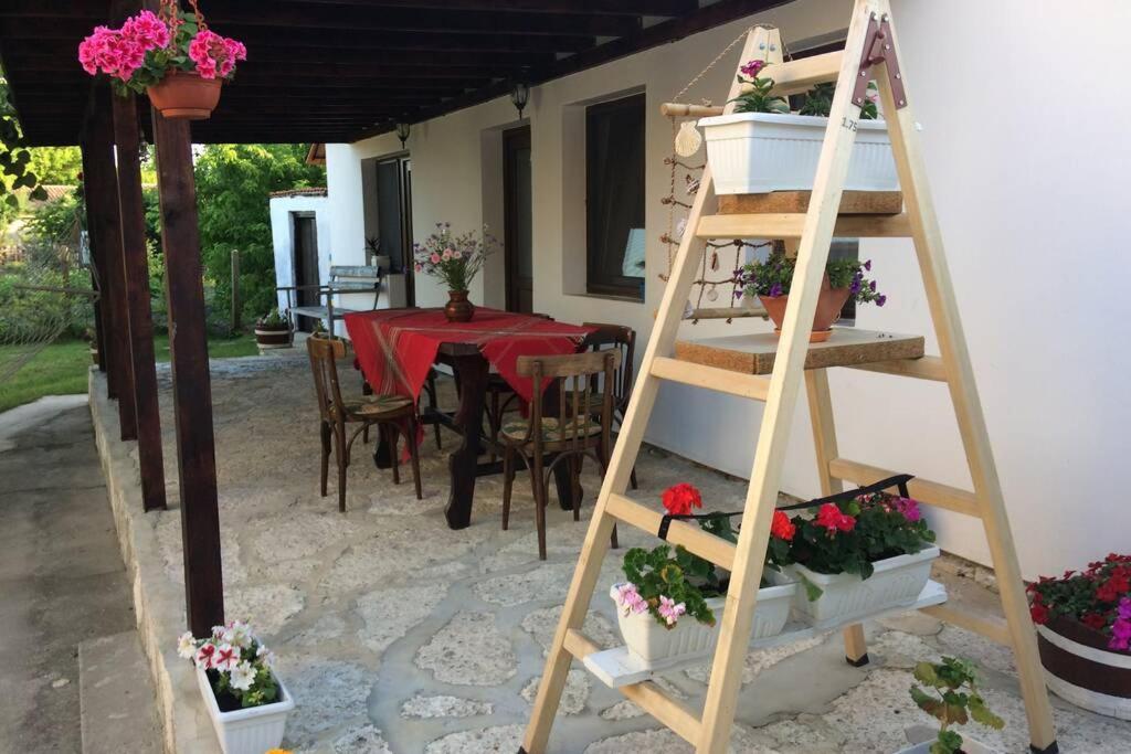 Guest House Kostadinovi Bulgarevo Luaran gambar